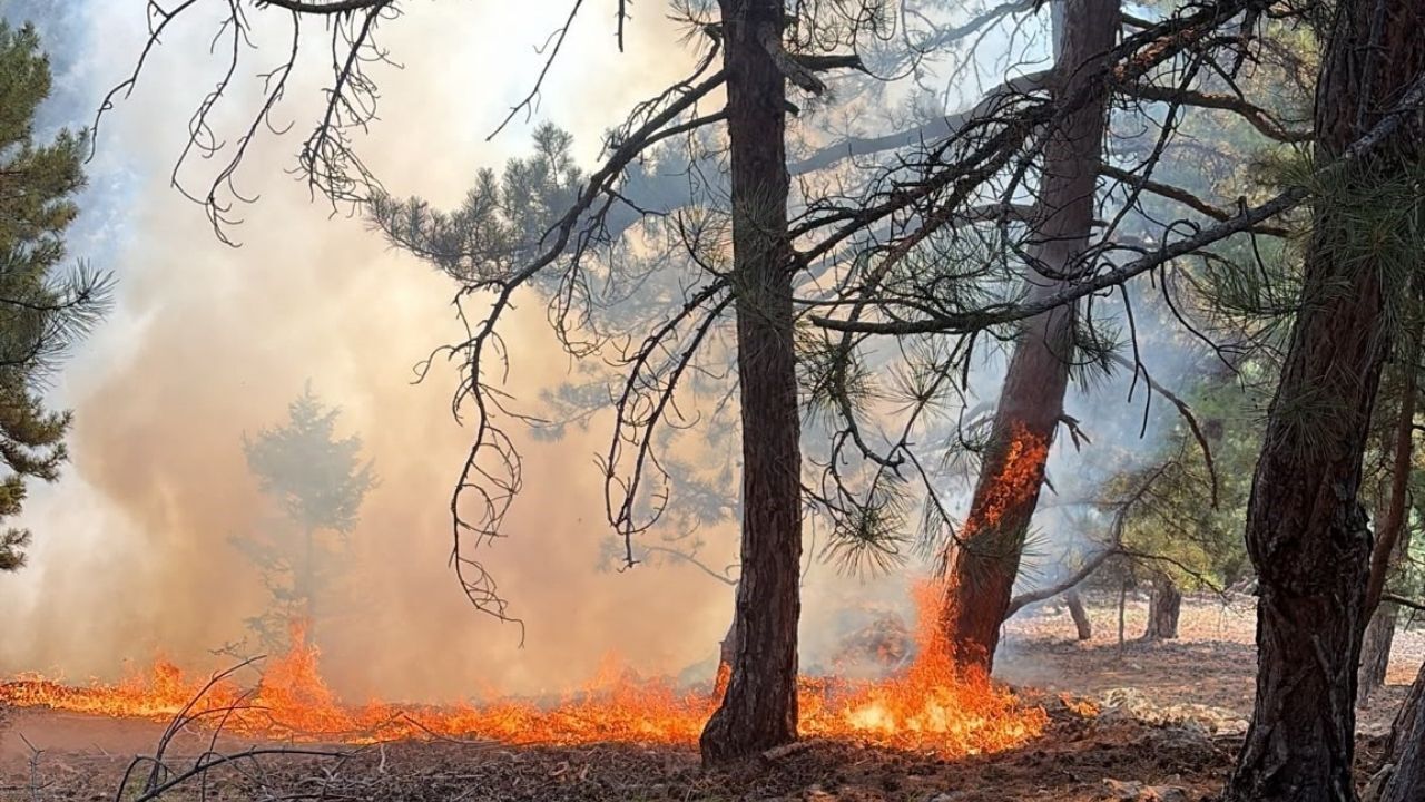 Saimbeyli'de Çıkan Orman Yangını Kısa Sürede Söndürüldü (2)