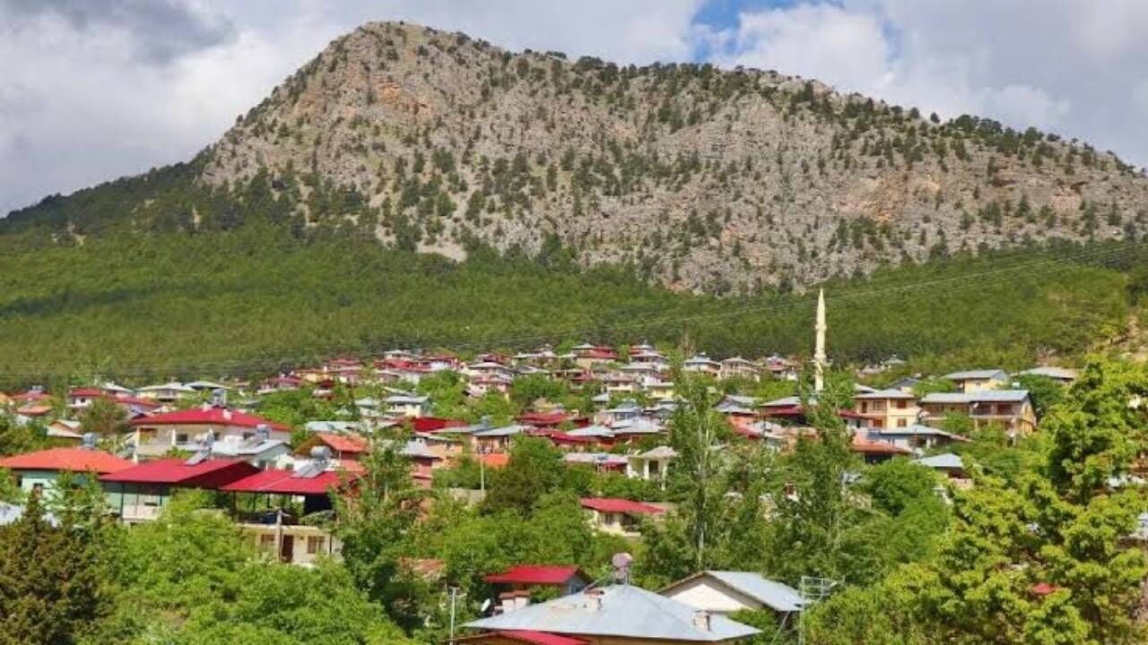 Tekir Ve Akçatekir Yaylaları