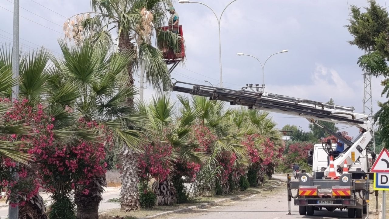 Temiz Ve Yeşil Yumurtalık Için Ekipler Sahada