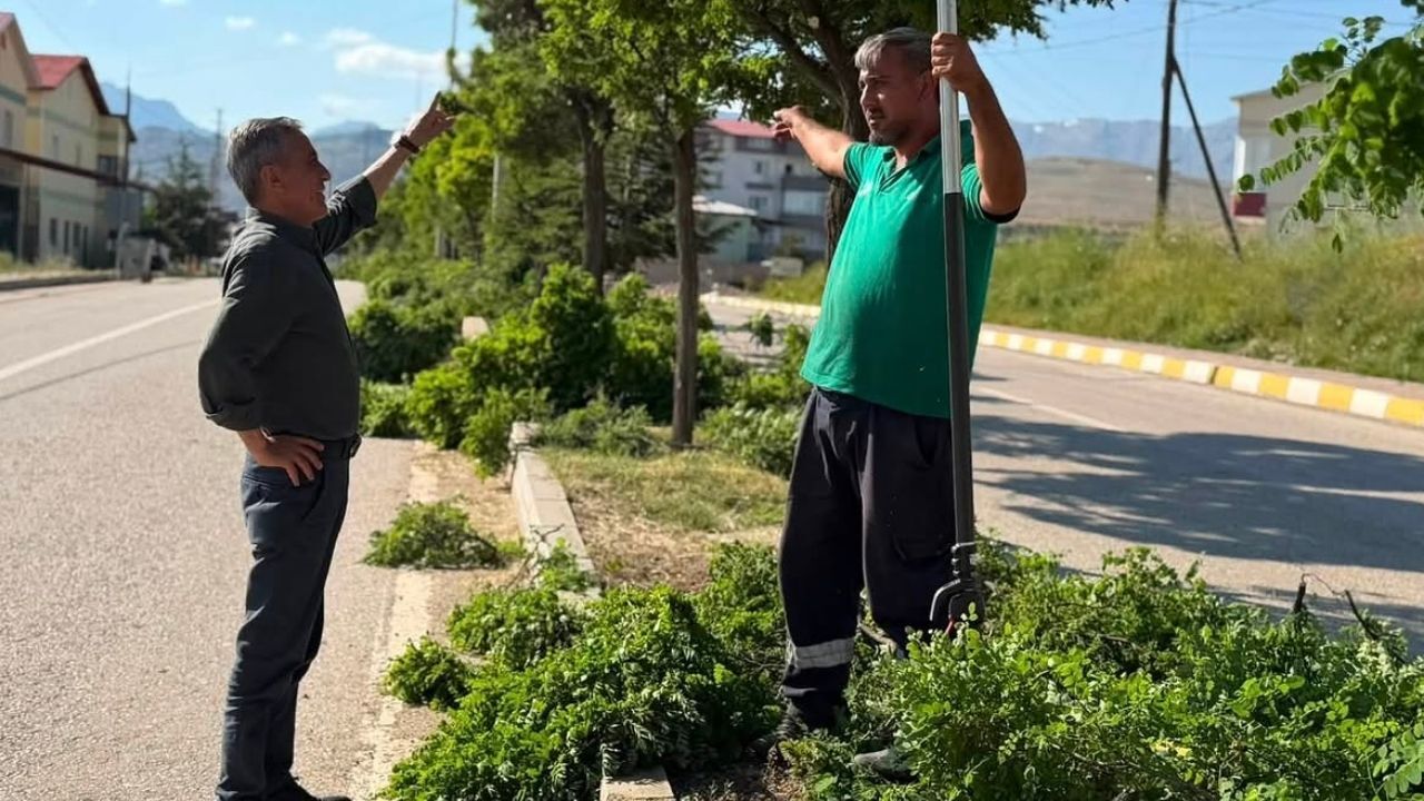 Tufanbeyli'nde Ağaç Budama Çalışmaları Tamamlandı (1)