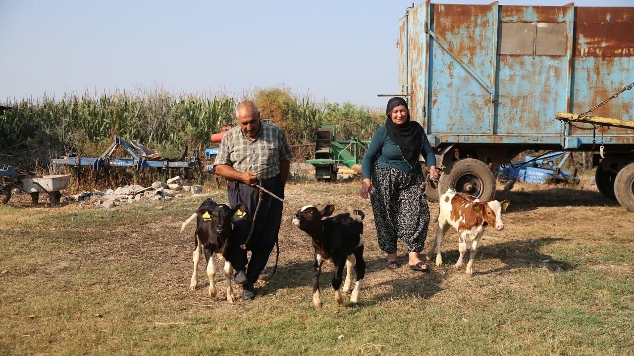 Veteriner Bile Şaşkın! Adana'da 100 Binde 1 Görülen Doğum Gerçekleşti
