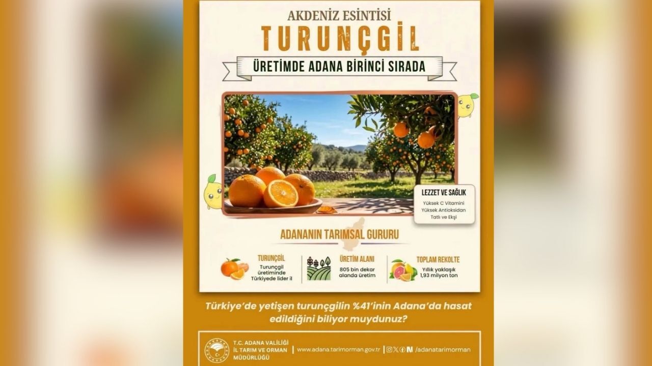Adana Turunçgilde Türkiye’nin Lideri
