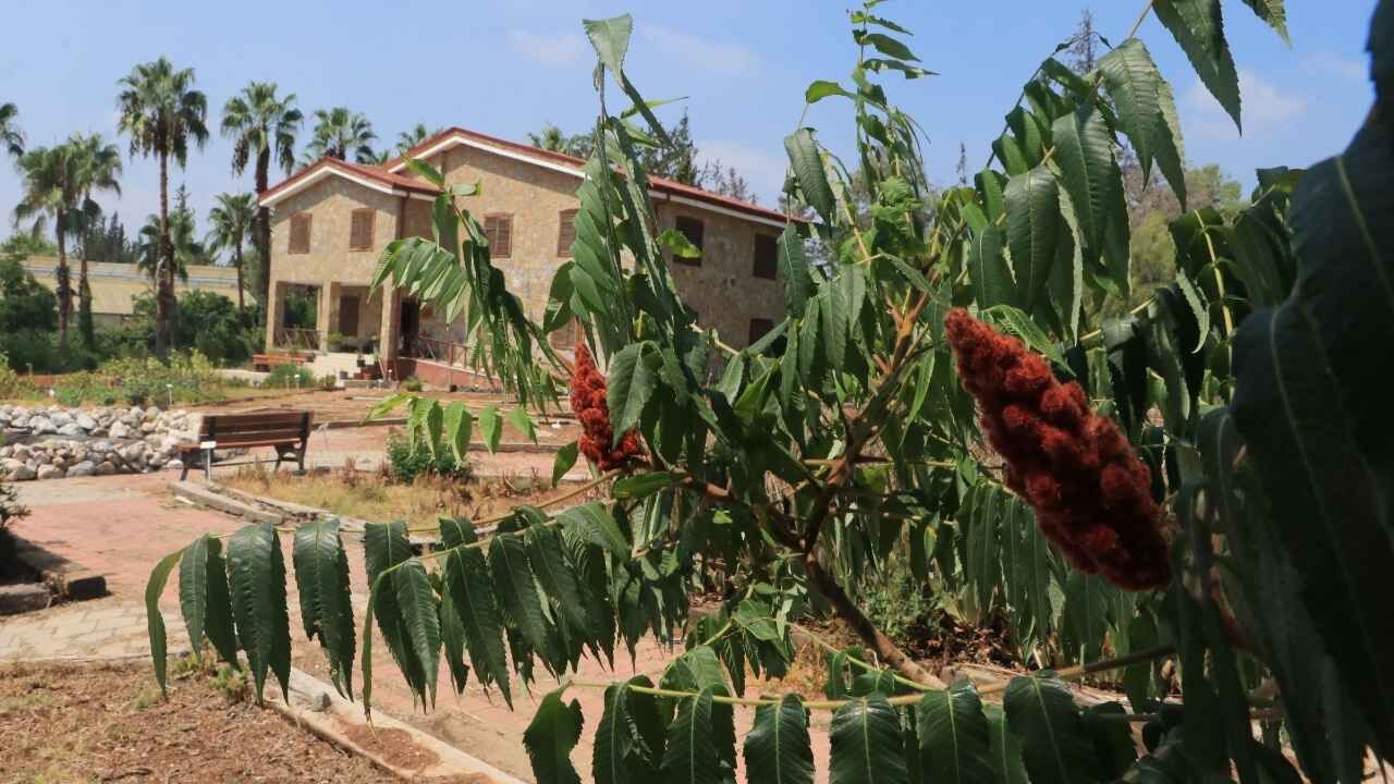 Adana’da 150 Çeşit Tıbbi Bitki Bu Bahçede Yetişiyor (1)
