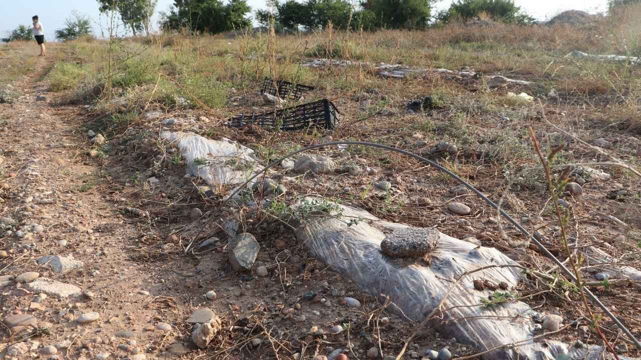 Adana’da 544 Dönümlük Arazi Tartışması “Tapusu Bizim, Başkaları Ekip Biçiyor” (1)