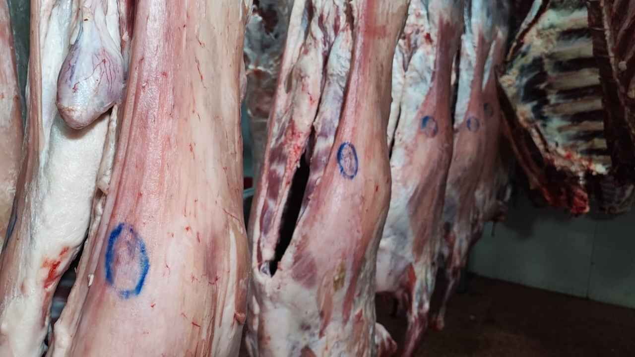 Adana’da Et Alırken Buna Dikkat “Ne Eti Olduğunu Bilemezsiniz”