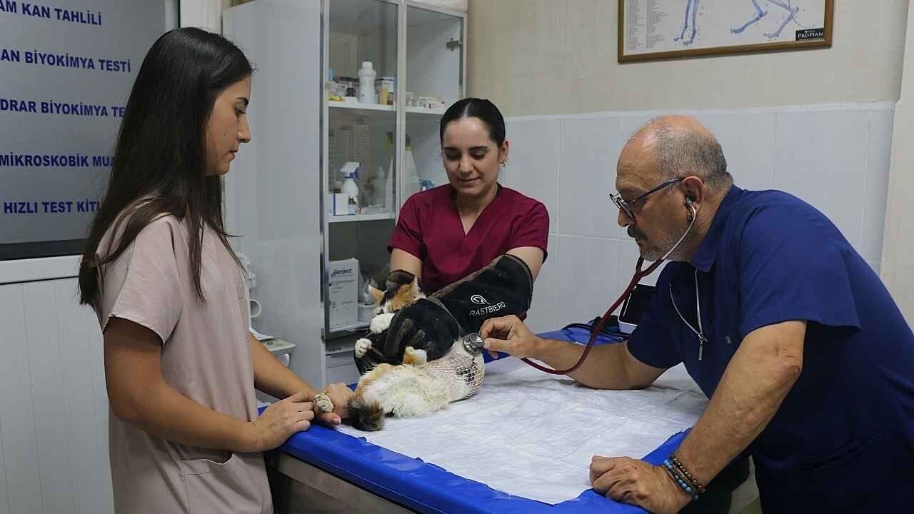 Adana’da Kanser Teşhisi Konulan “Benek” Ameliyatla Hayata Tutundu (1)