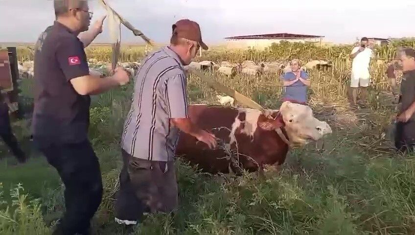 Adana'da Kuyuya Düşen Inek Kurtarıldı Sahibi Itfaiye Erlerine Sarılıp Gözyaşı Döktü (1)-1
