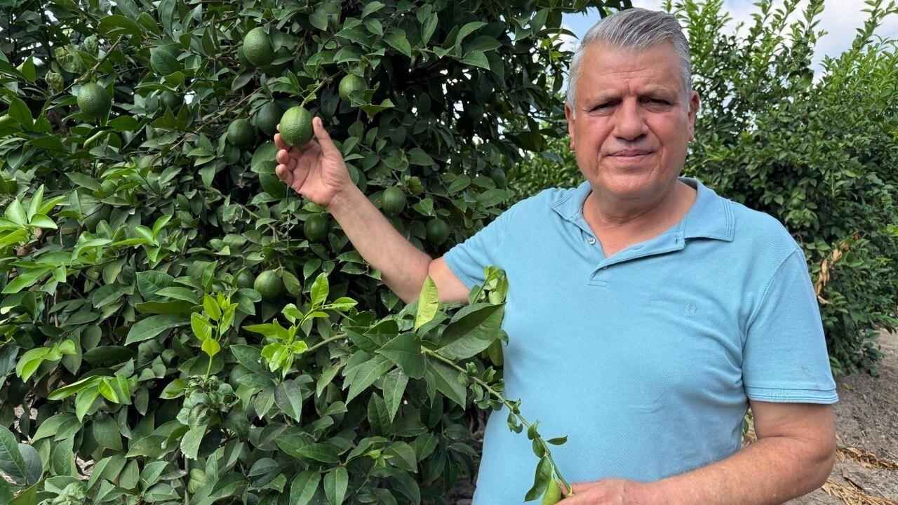 Adana'da Markette 200 Tl’yi Gören Limon Dalında Kaldı!