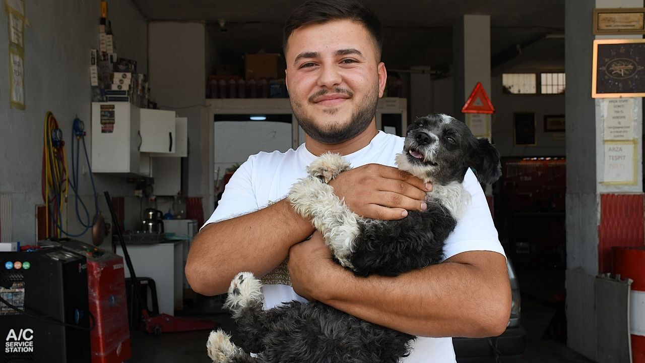 Adana'da Nefes Alamayan Köpeği Esnaf Kurtardı! O Anlar Kamerad (1)