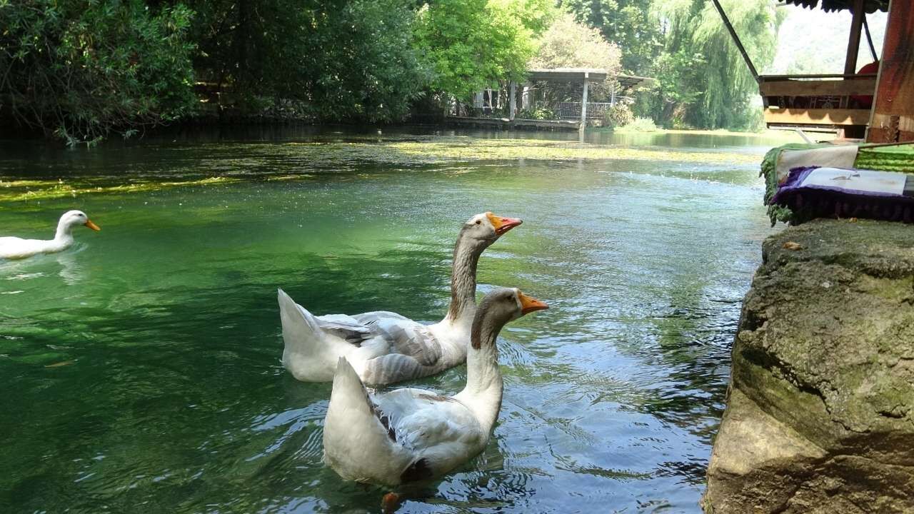 Adana'da Saklı Cennet! Bucak Vadisi Doğaseverlerin Yeni Rotası