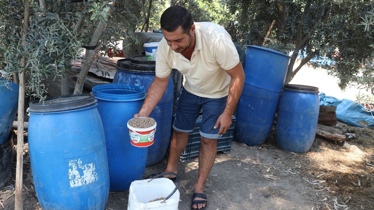 Bakanlık Projesi Sayesinde Hayvancılığa Dönen Besici Sürü Sahibi Oldu