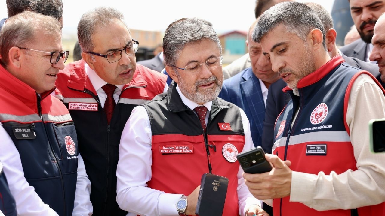 Büyükbaş Hayvanlara Elektronik Kimlik Dönemi (1)