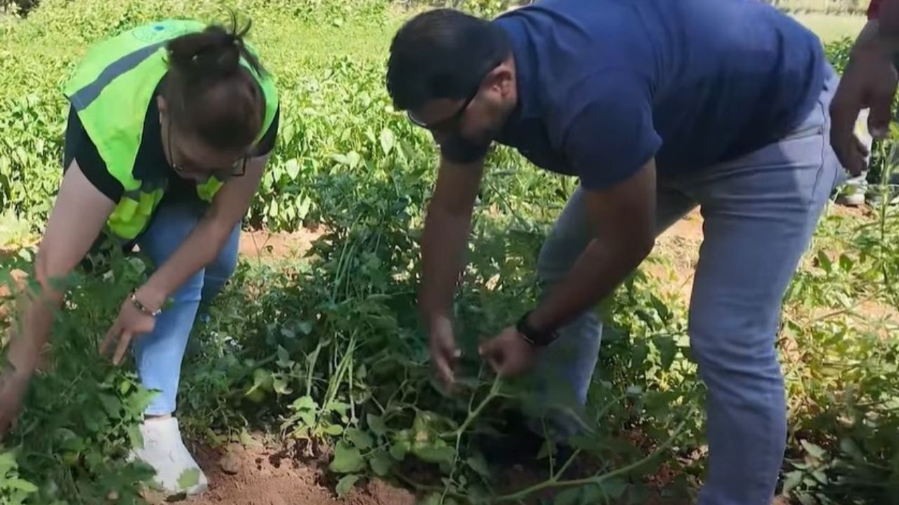 Büyükşehir’den Tufanbeyli Üreticisine Sulama Ve Fide Desteği (3)