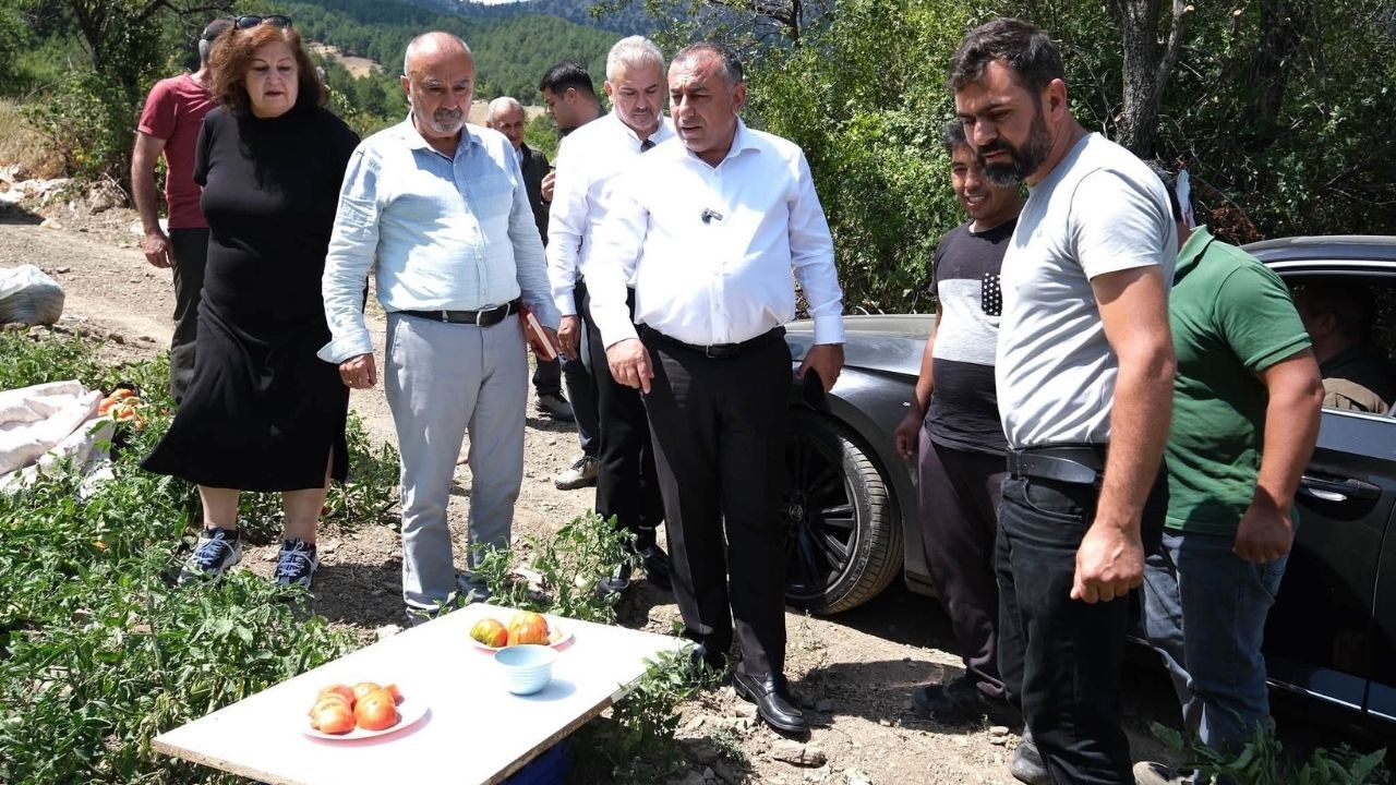 Büyükşehir’in Fide Desteği Tarlada Ürüne Dönüştü (1)