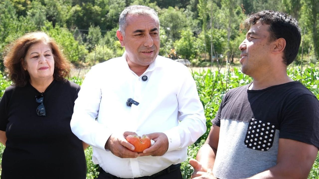 Büyükşehir’in Fide Desteği Tarlada Ürüne Dönüştü (2)