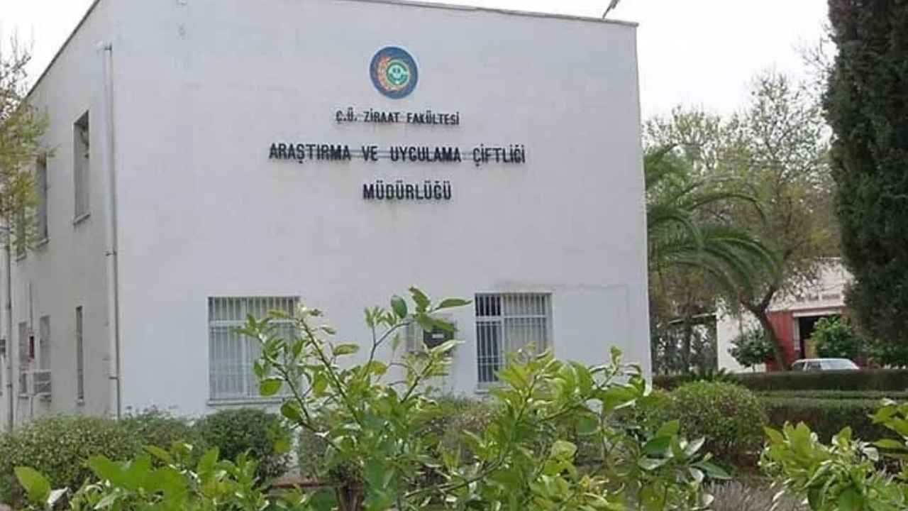 Çukurova Üniversitesi’nde Borç Krizi Büyüyor Bu Kez Elektrik Tehlikes