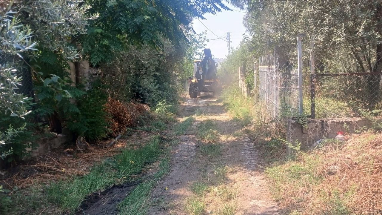 Daha Temiz Yumurtalık Için Ekipler Sahada (2)