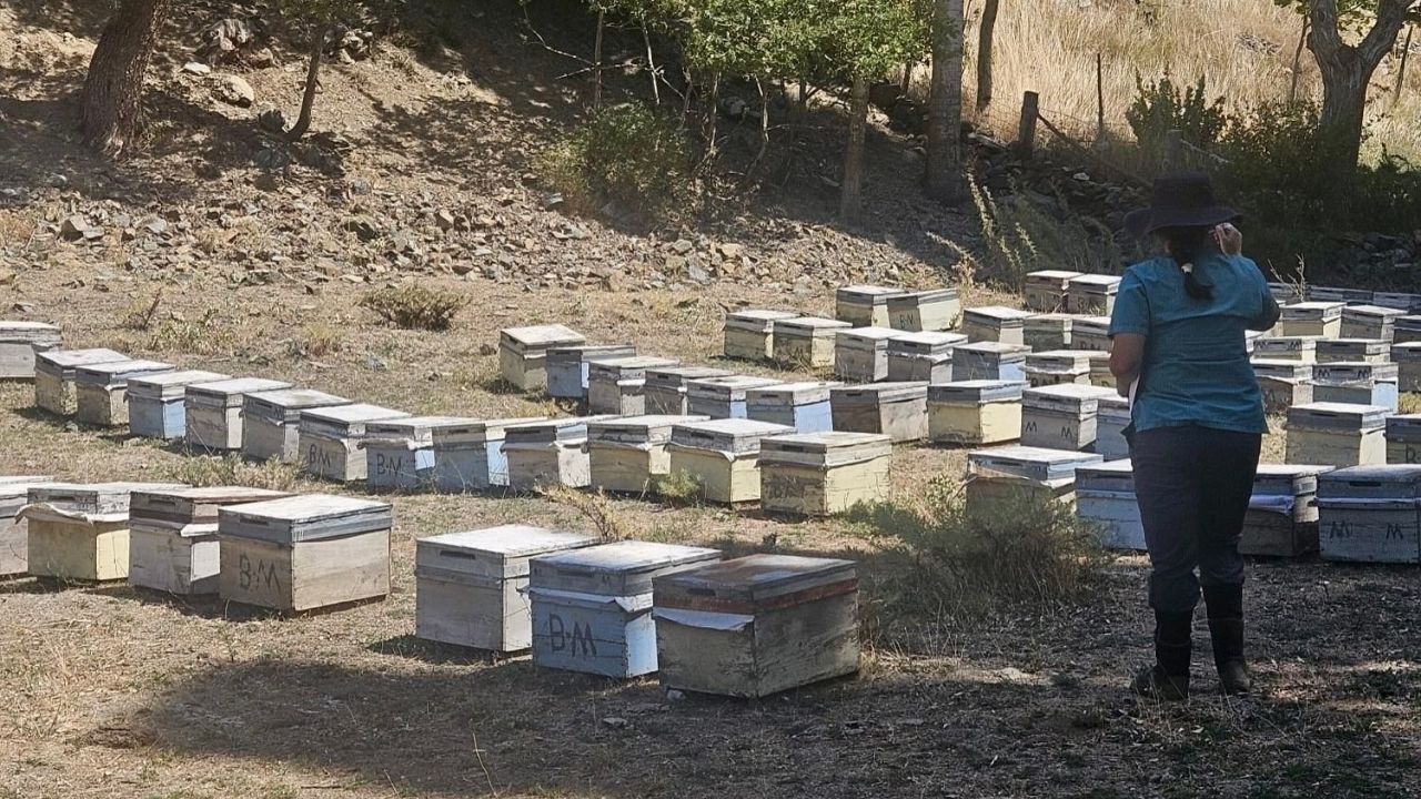 Feke’de Arıcılara Yönelik Saha Kontrolleri Sürüyor (1)