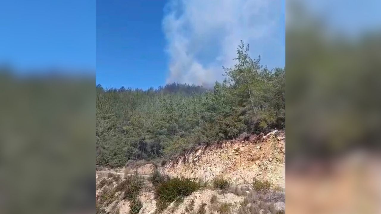 Gaffarlı'da Orman Yangınına Hızlı Müdahale (1)