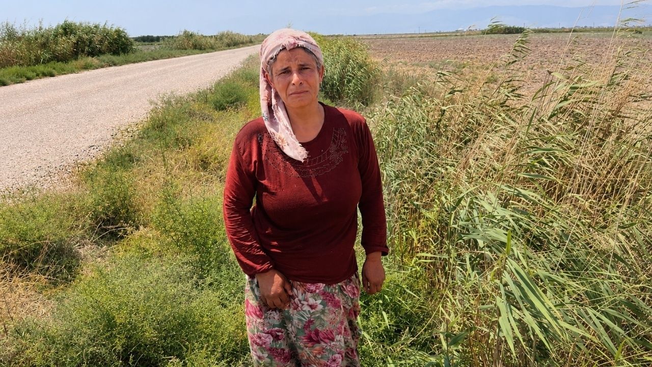 Geçim Kaynağı Hayvanlarını Peş Peşe Kaybetti “Yavrusu Dünden Beri Bağırıyor” (1)