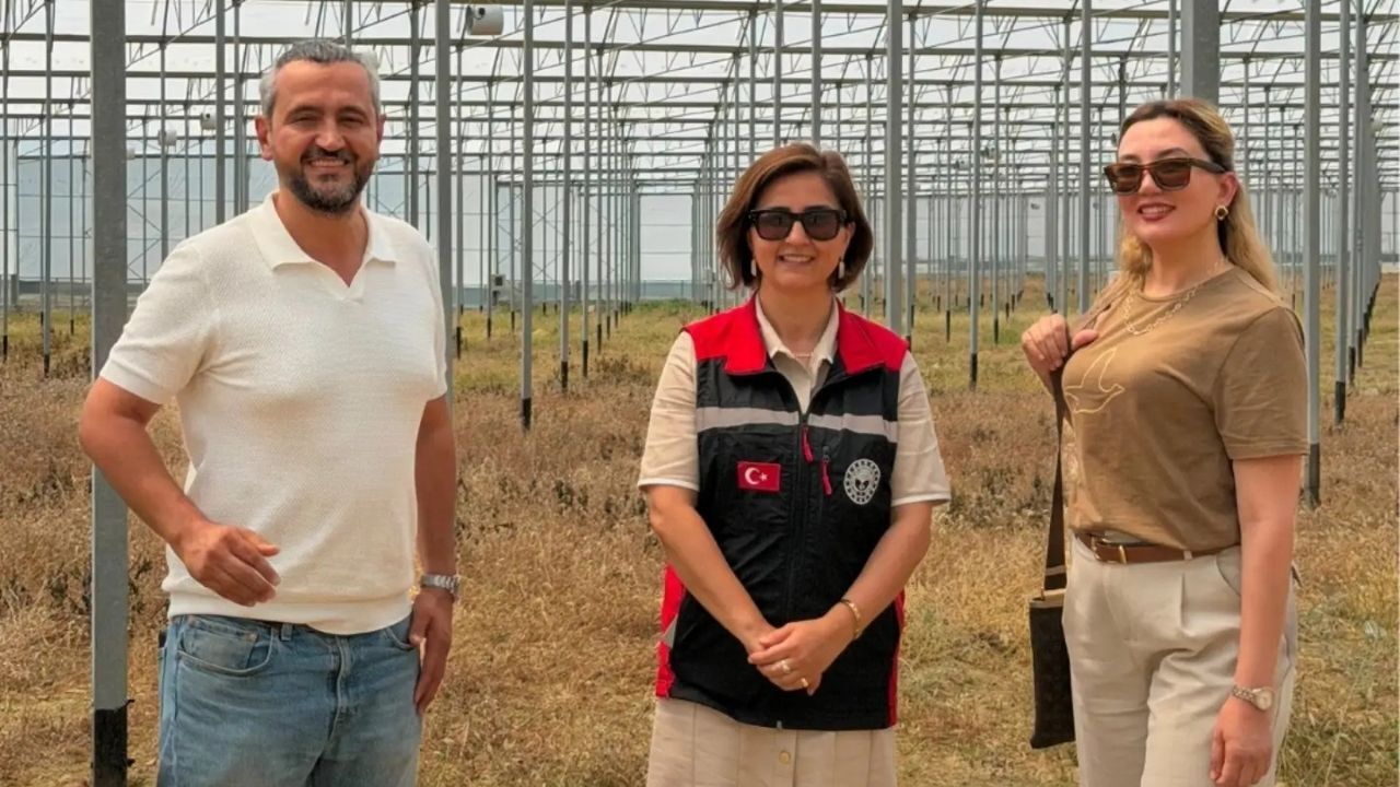 Karaisalı’da Avokado Üretimi Için Yeni Sera Hazırlanıyor (1)