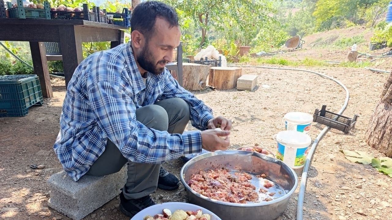 Kozan’da Incir Hasadı Başladı Kilosu 300 Tl’ye Ulaşıyor (3)