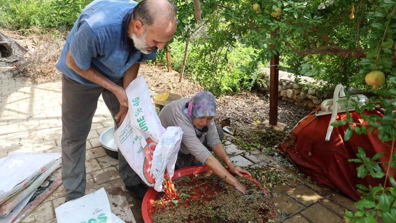 Kozan’da Kızılcıklar Kara Kazana Girdi 100 Tl’lik Meyve Şerbette Bin Tl’ye Çıkıyor (2)