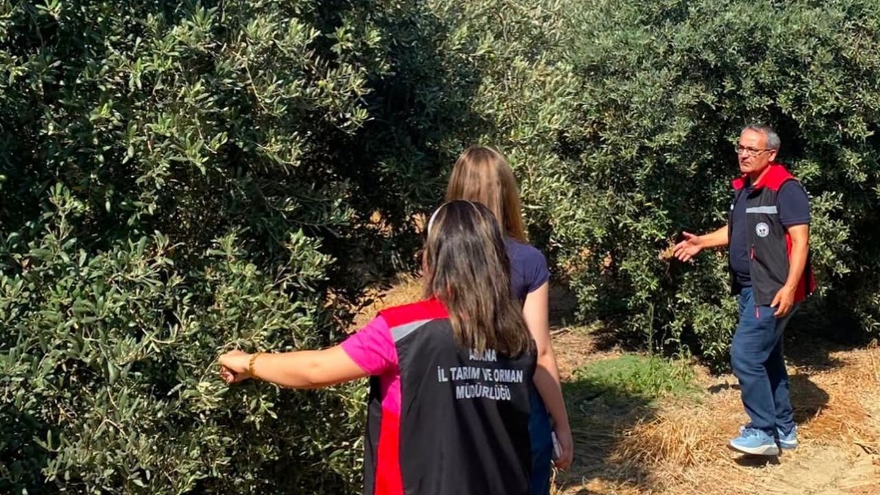 Kozan'da Tarım Ekipleri Hem Fiyatları Hem Rekolteyi Takip Ediyor (3)