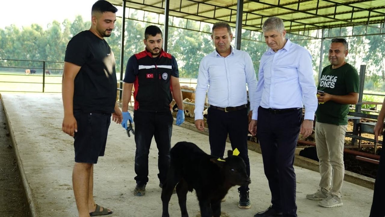 Kozan’da Tarım Ve Hayvancılık Için Sahada Yoğun Çalışma (2)