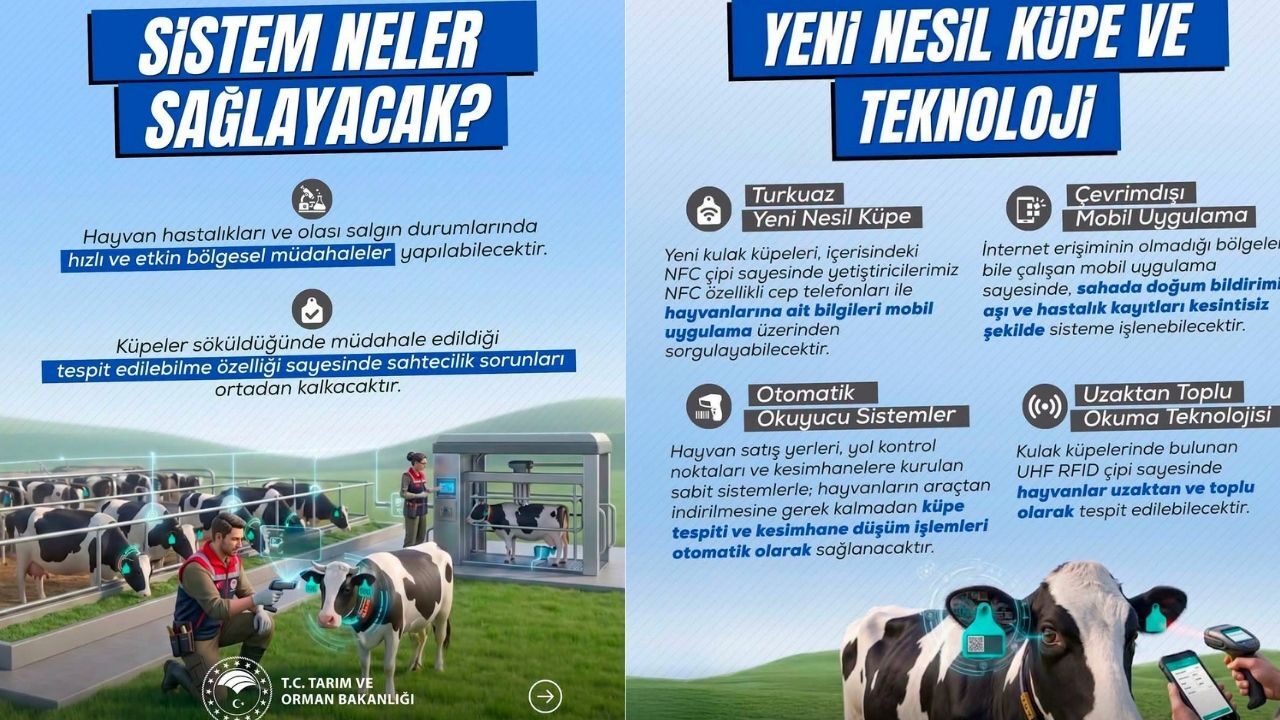 Küpe Değişiyor, Hayvancılık Dijitalleşiyor! Yeni Sistem Neleri Getirecek (1)