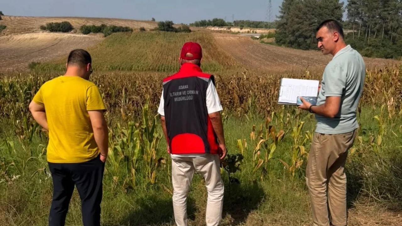 Sarıçam’da Tarlalar Mercek Altında (2)