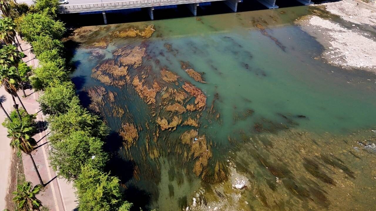 Seyhan Baraj Gölü Kapakları Kapanınca Seyhan Nehri'nde Sular Çekildi-1