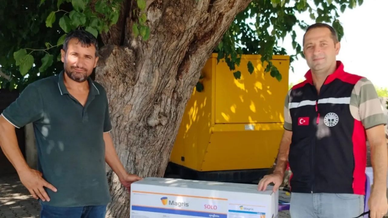 Seyhan’da Meyve Sineğine Karşı Etkin Mücadele (1)