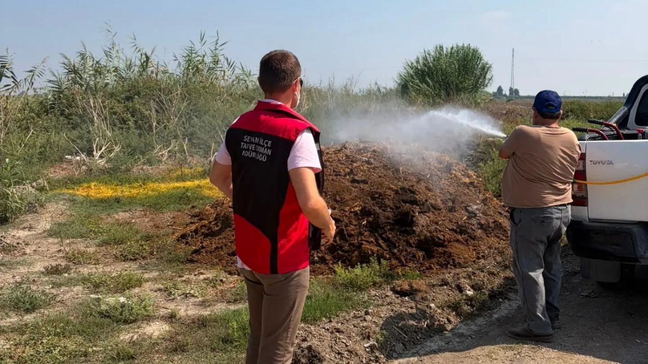 Seyhan’da Tarım Ekipleri Zararlılara Geçit Vermiyor (1)