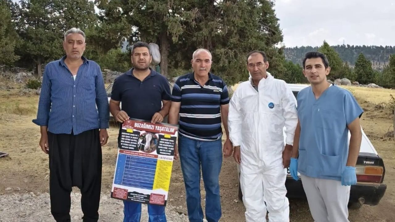 Tarım Ekipleri Sahada Buzağı Sağlığı Için Bilgilendirme (2)