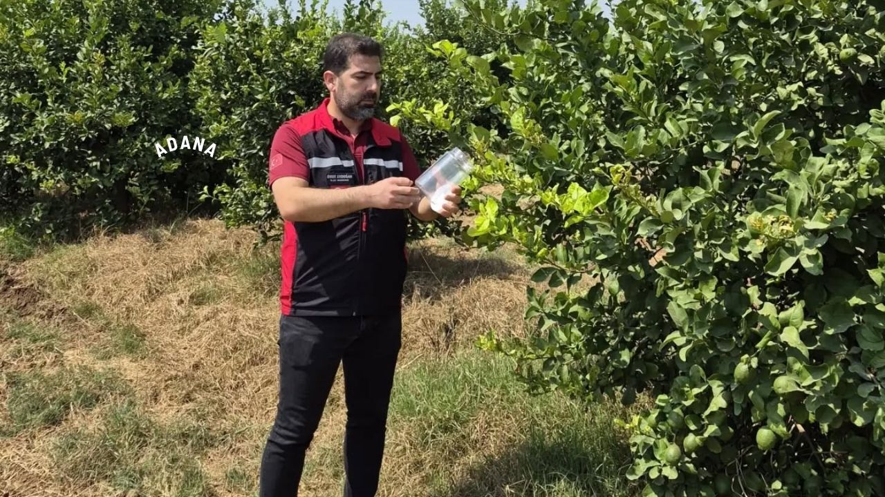Tarım Ekiplerinden Sarıçam’da Kapsamlı Saha Çalışması