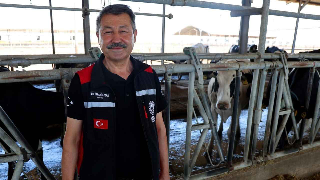 Türkiye’de Bir Ilk Adana’da Bir Inekten 18 20 Embriyo Elde Ediliyor