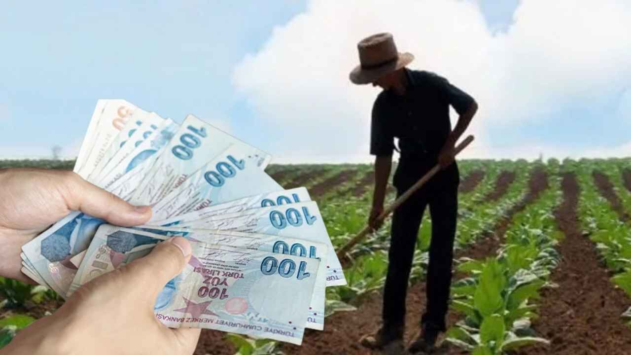 Adana genç çiftçi hibe desteği 2026: Kimler başvurabilir, son tarih ne zaman?