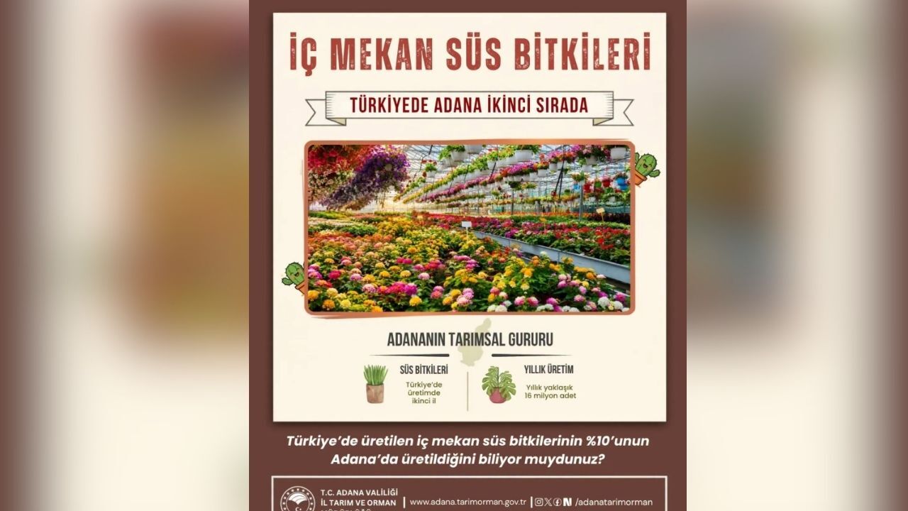 Adana Iç Mekan Süs Bitkileri Üretiminde Türkiye Ikincisi