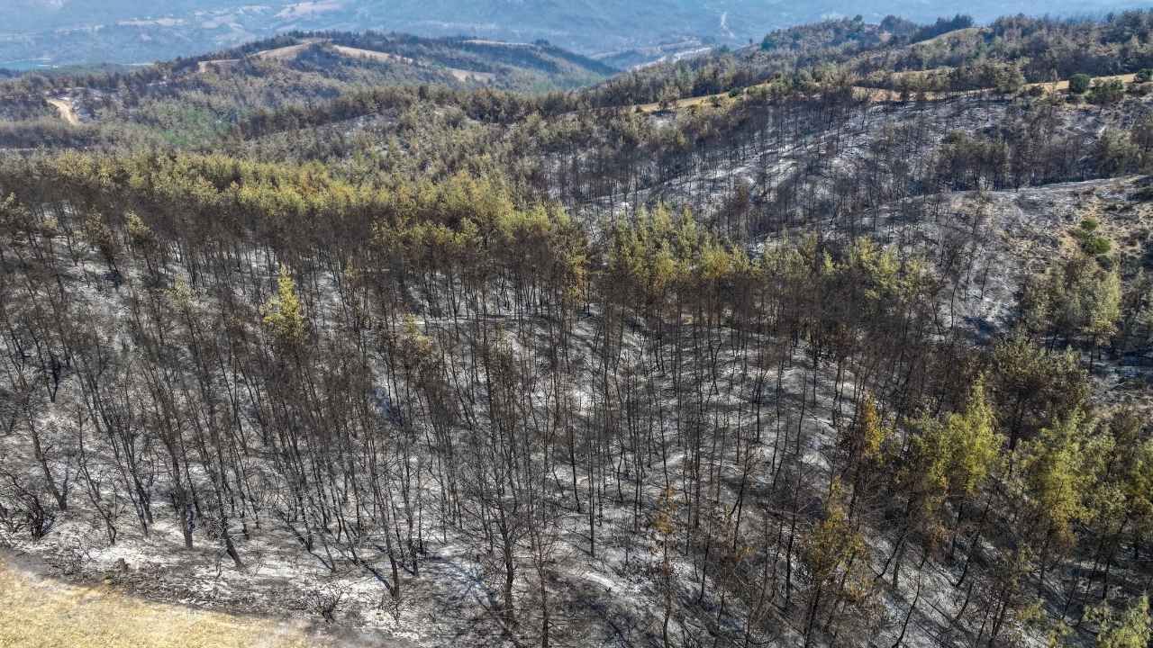 Adana’da 3 Ilçeyi Etkileyen Orman Yangını Dronla Görüntülendi (2)