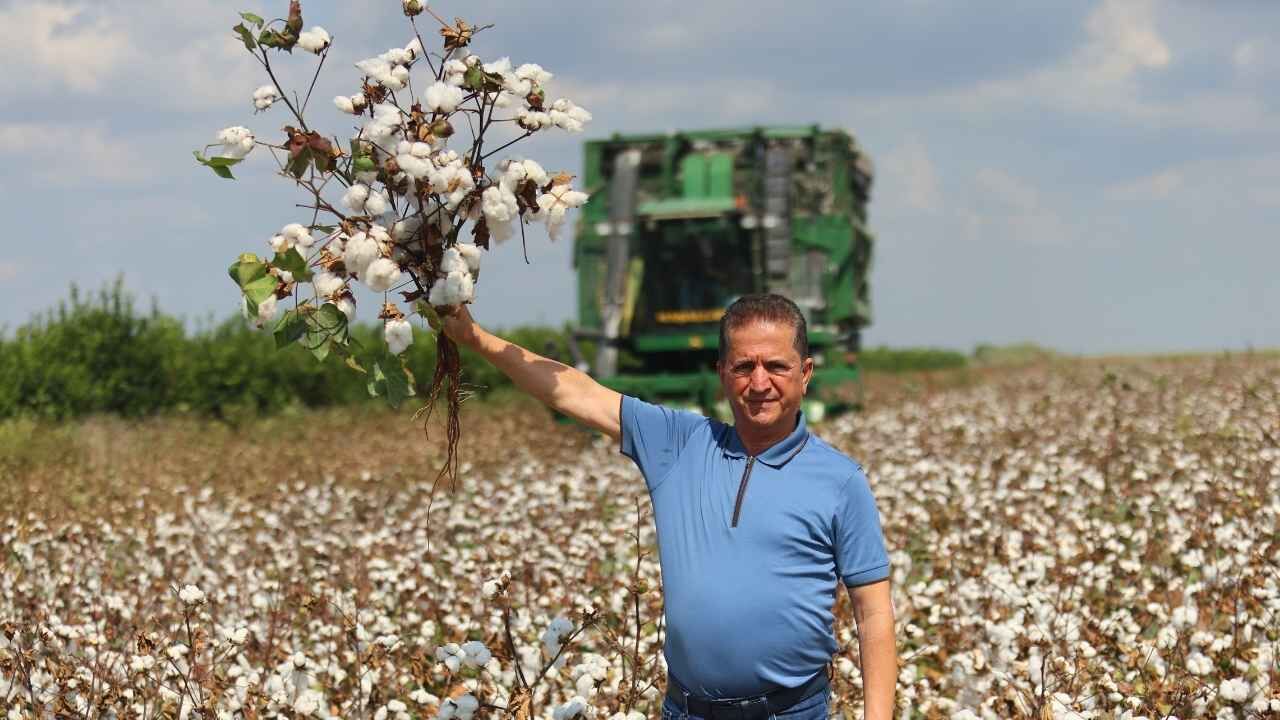 Adana’da ‘Beyaz Altın’ Hasadı Başladı Pamuk Tarlada 40 Liradan Alıcı Buluyor