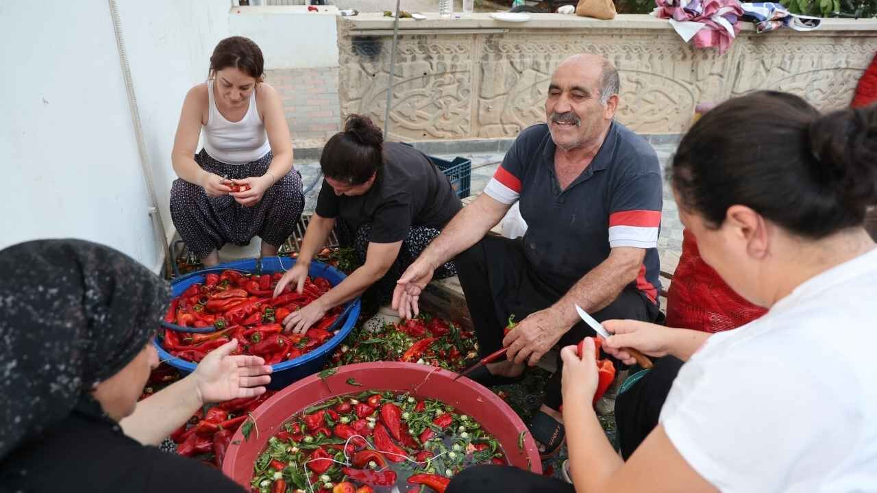 Adana’da Damlar Kırmızıya Büründü Salça Mesaisi Başladı (2)