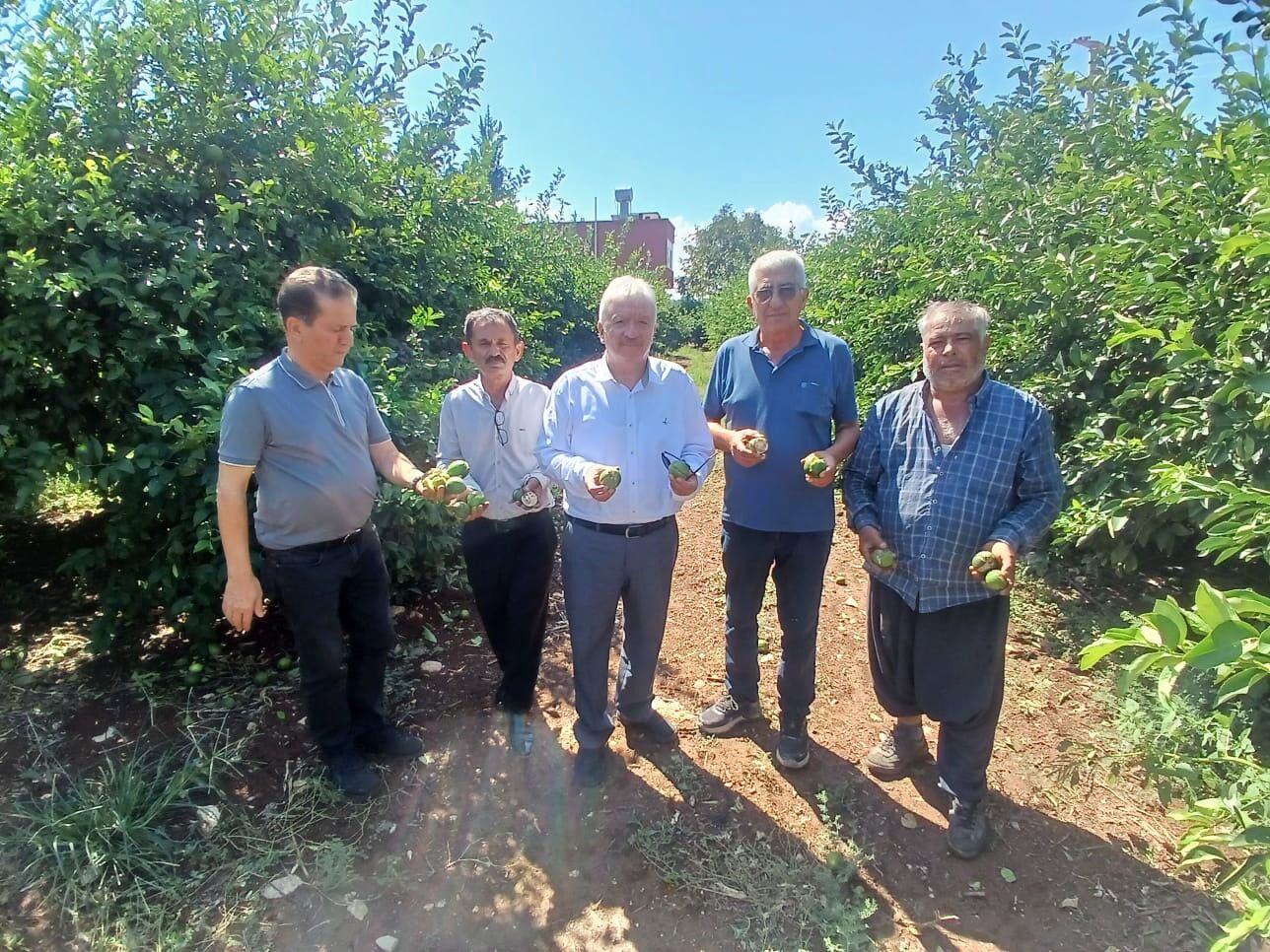 Adana’da dolu 35 bin dönüm tarım alanını vurdu