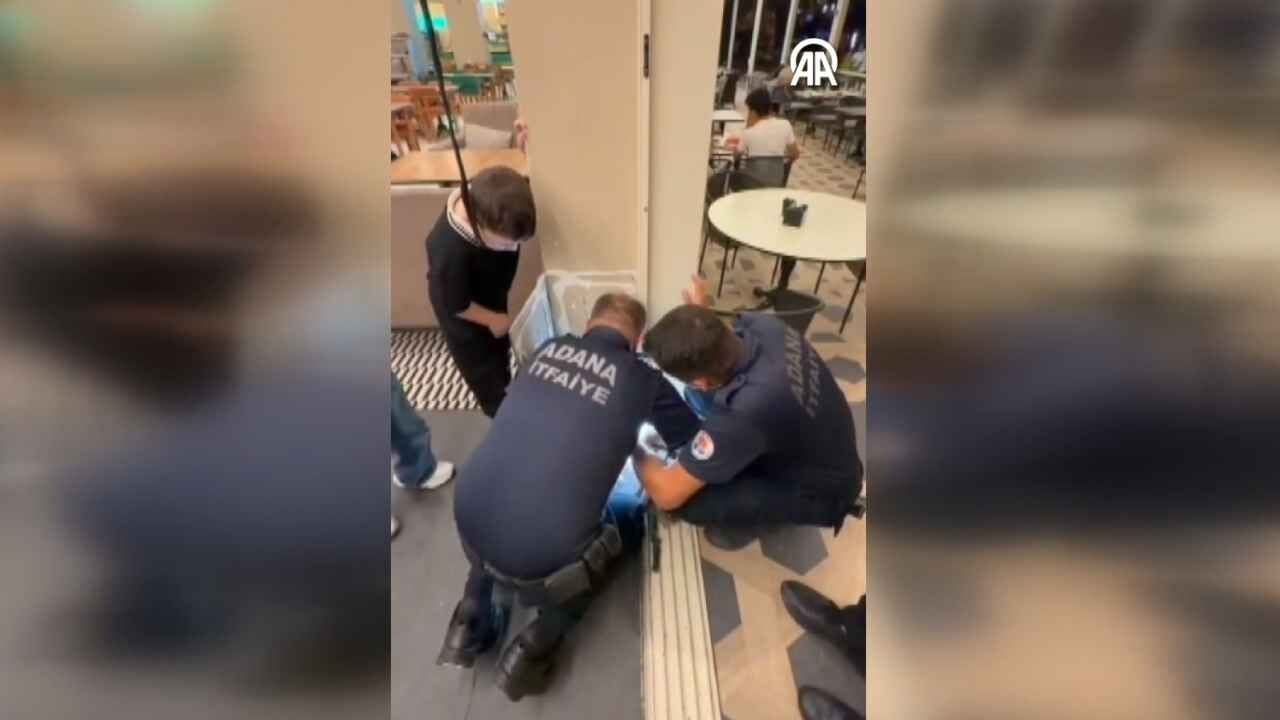 Adana’da duvar boşluğunda mahsur kalan yavru kediyi itfaiye kurtardı