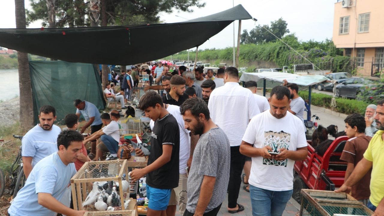 Adana’da Gün Doğmadan Kuş Pazarı Hareketleniyor Güvercinler 20 Bin Tl’ye Kadar Çıkıyor (4)