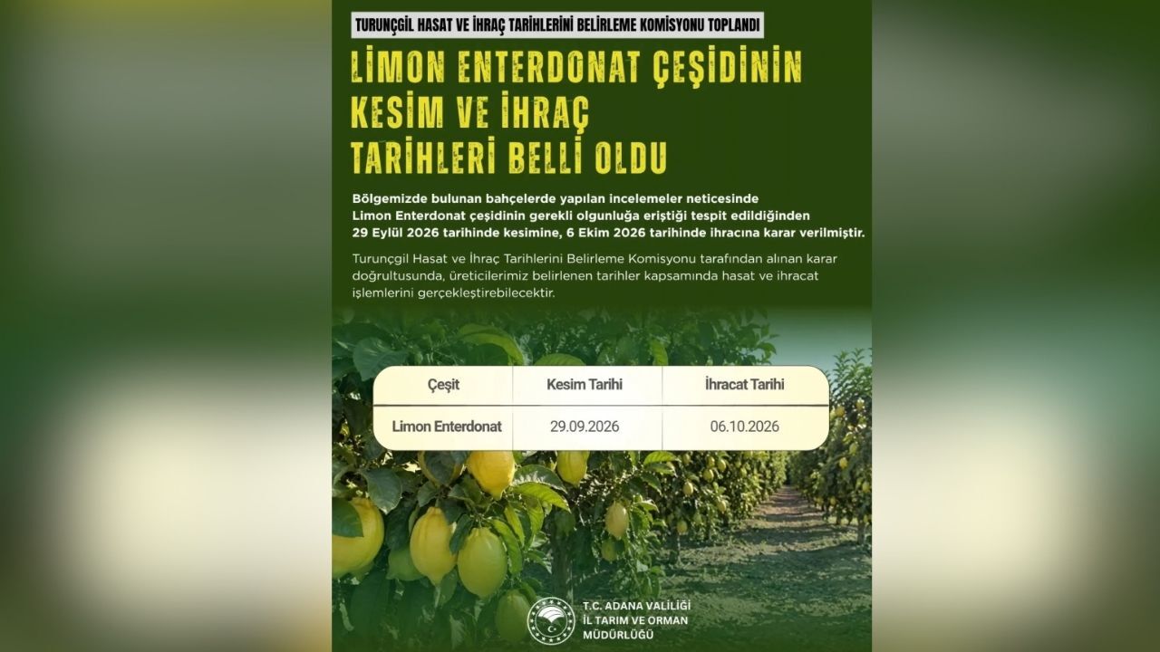 Adana’da Limon Hasadı Için Tarih Belli Oldu (1)