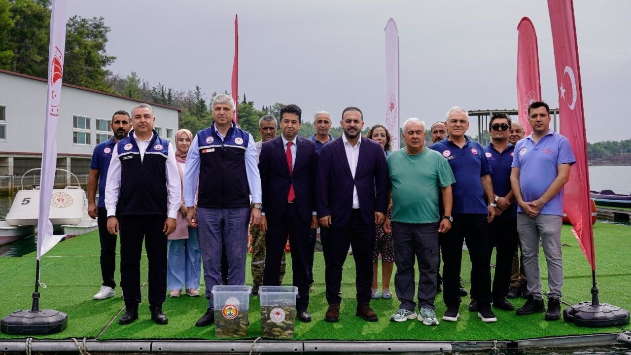 Adana'da Yavru Sazan Balıkları Suya Bırakıldı
