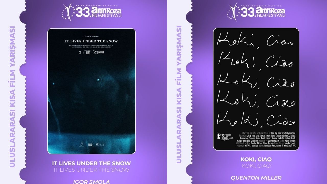 Altın Koza’da Kısa Film Finalistleri Belli Oldu (2)
