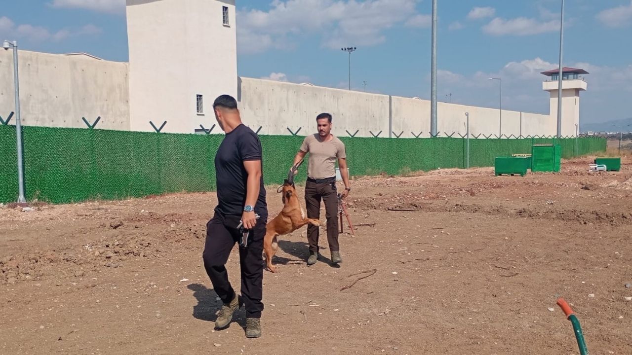 Arıcılıkta Eğitim Ve Üretim Için Iş Birliği (2)