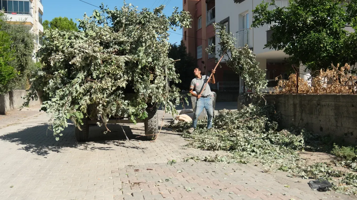 Ceyhan’da Ortak Yaşam Alanları Köşe Bucak Temizlendi (2)